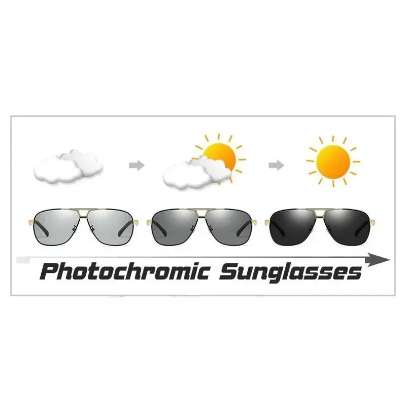 Signature Navigator Titanium Sunglasses
